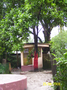 chalitatree